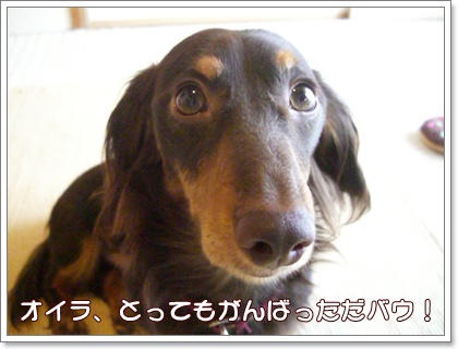 souther_20090628a