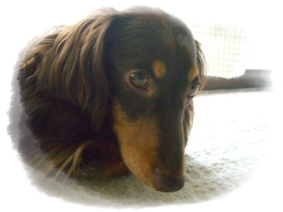 souther_20090703h