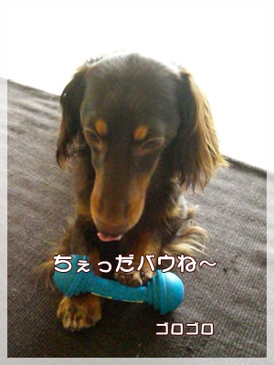 souther_20090801d