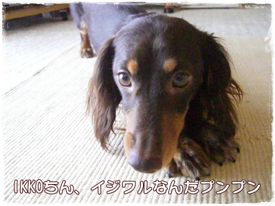 souther_20090629f
