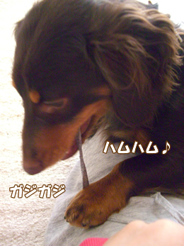 souther_20090108f