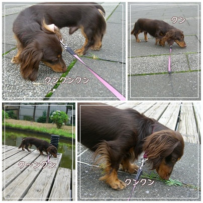 souther_20090704d