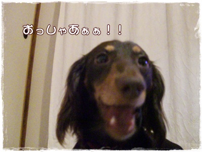 souther_20090703g