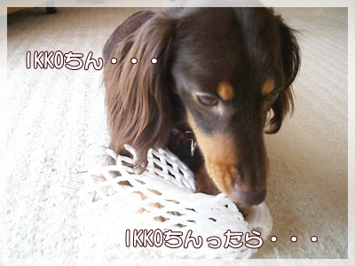 souther_20090630f