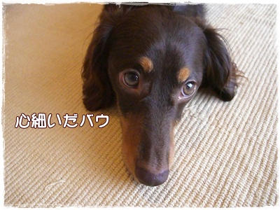 souther_20090627e