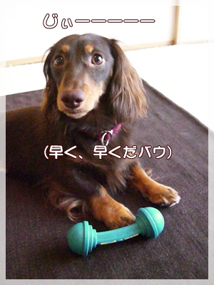 souther_20090801f