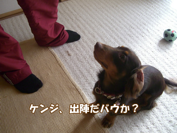 souther_20090108g