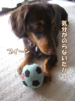 souther_20090108d