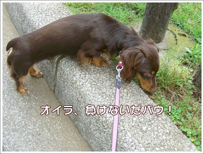 souther_20090704h