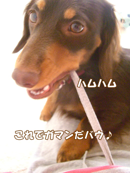 souther_20090108e