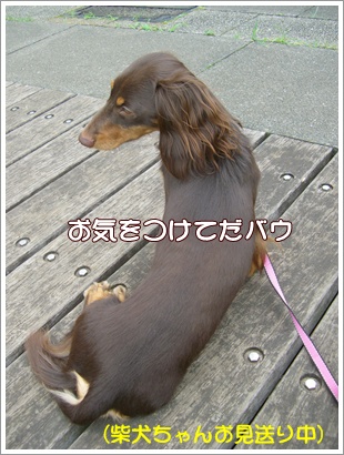 souther_20090704g