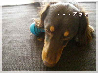 souther_20090801h