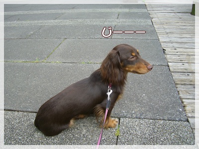 souther_20090802h