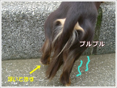 souther_20090704i