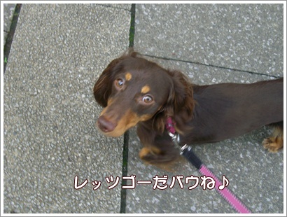 souther_20090704b