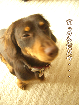 souther_20090108b