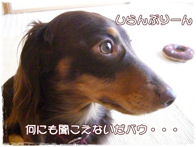 souther_20090627c