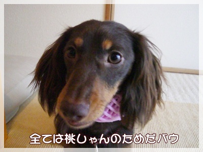 souther_20090705d
