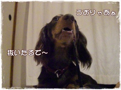 souther_20090703d