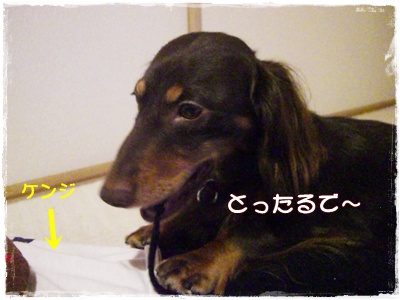 souther_20090703b