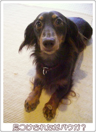 souther_20090627g
