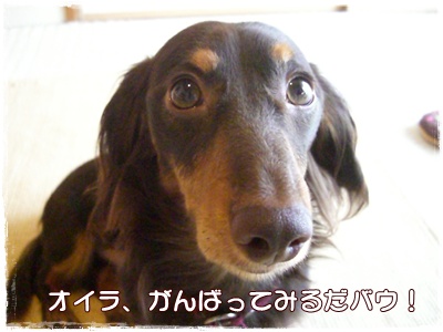 souther_20090627f