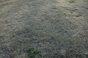 souther_20090104c
