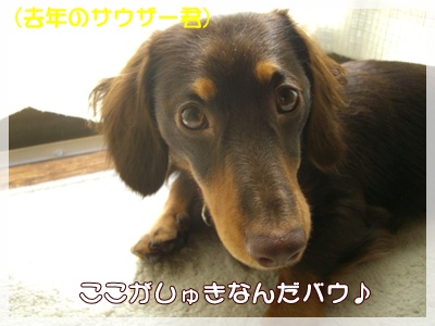 souther_20090802c