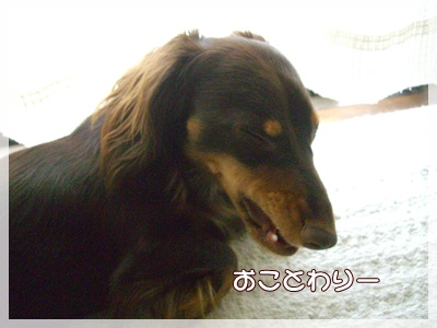 souther_20090802b