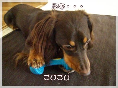 souther_20090801b