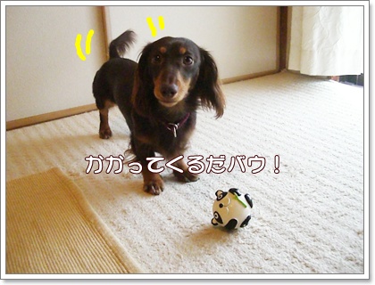 souther_20090702b