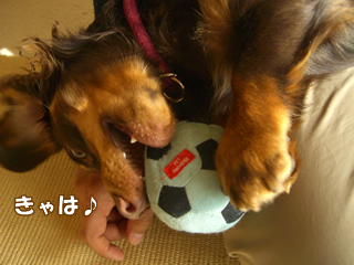 souther_20081220g