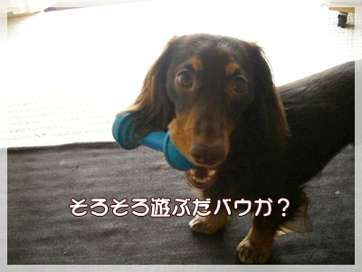 souther_20090801c