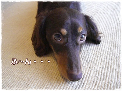 souther_20090627d