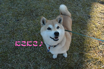 souther_20090104b