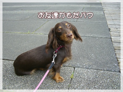 souther_20090802i