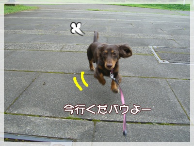 souther_20090802f