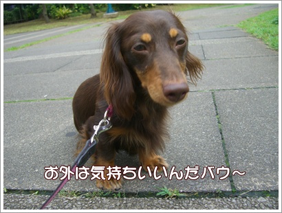 souther_20090704c