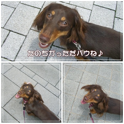 souther_20090704k