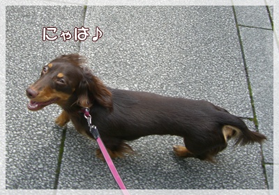 souther_20090802j