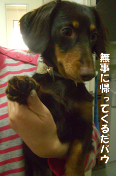 souther_20090108i