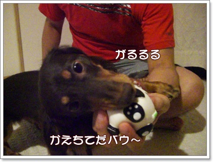 souther_20090702e