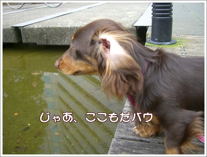 souther_20090704e