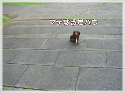 souther_20090802e