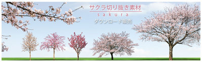 sakurakirinuki