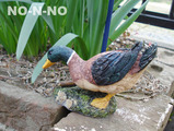 kamo