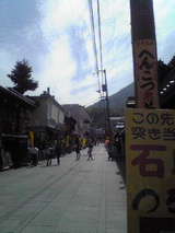 170a672d.jpg