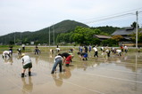 37df00a6.JPG