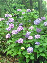 200806211620000