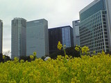 NEC_0724